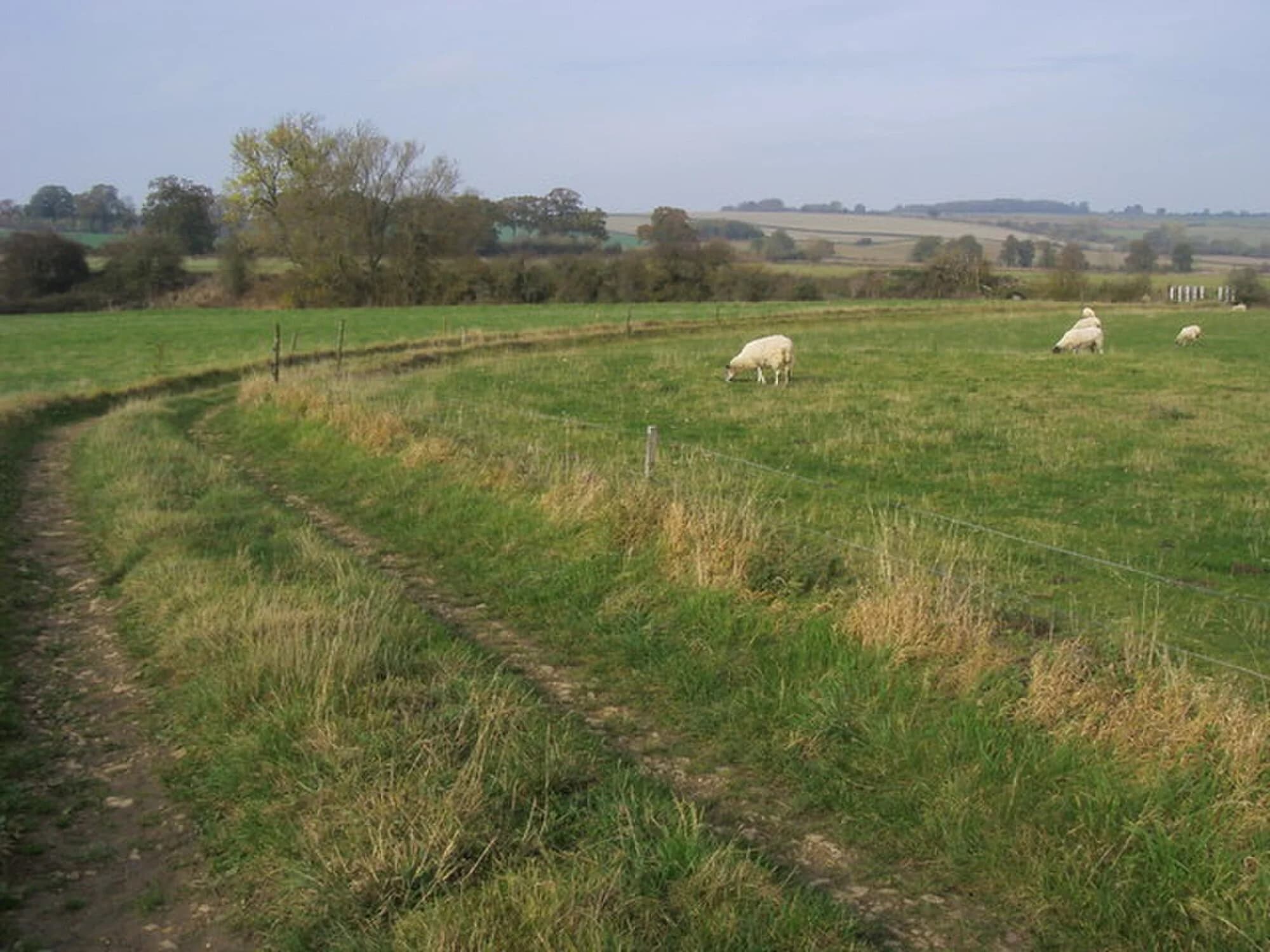 Vets in Ascott Under Wychwood